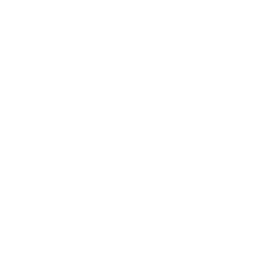 X icon